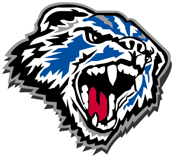 Tok High School Logo