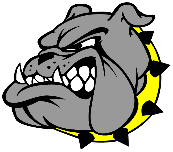 Bosworth R-5 High School Logo