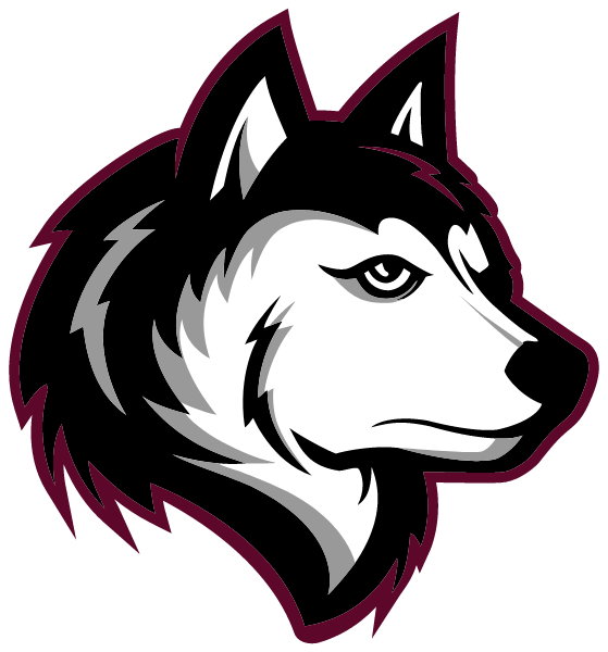 Hirsch Metro High School Logo