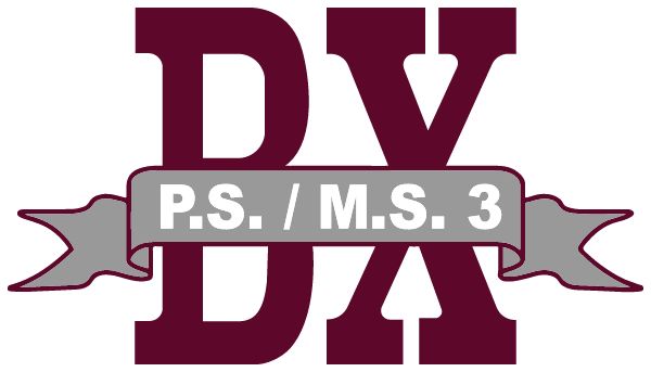 Public School 3 Sideline Store 3 (BRONX, NEW YORK) Spirit Apparel & Accessories Store