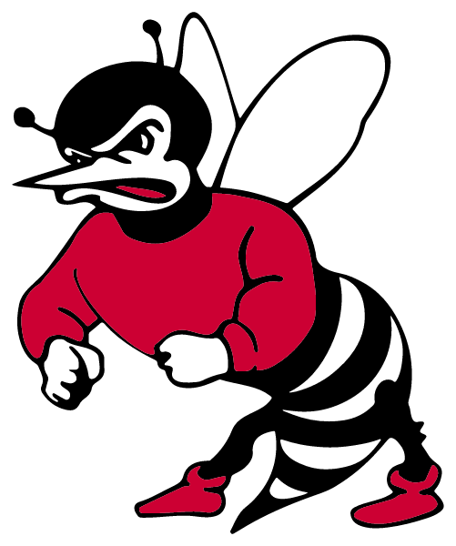 Freeburg Community Consolidated School Logo