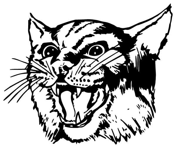 Circle High School Logo