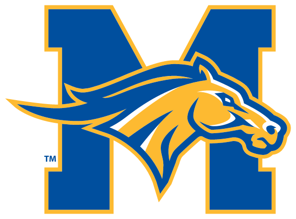 Monroe College Logo