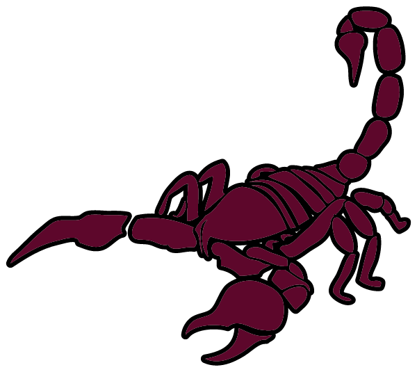 Sage Ridge School Logo