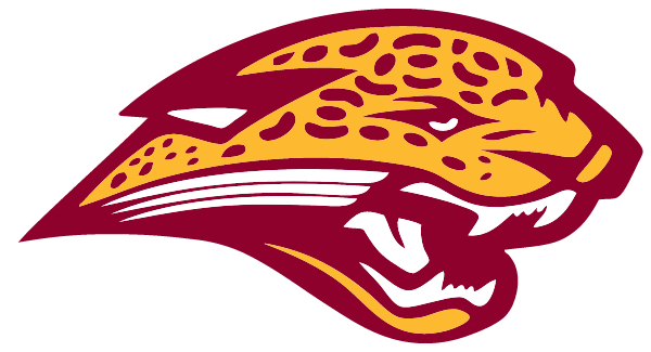New Era Academy Logo