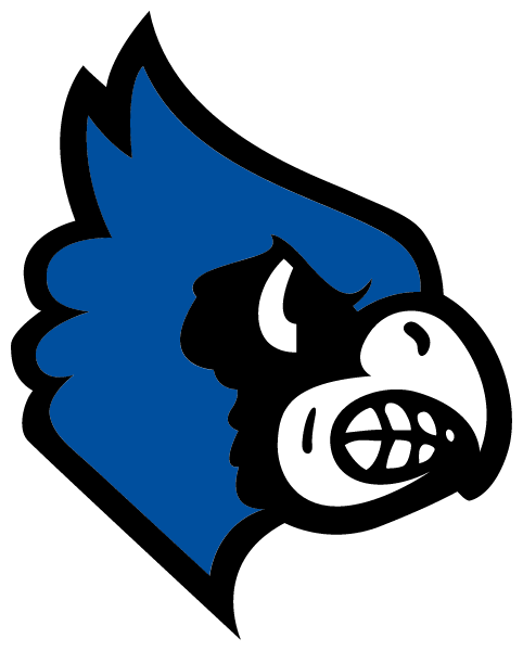 Iron County C4 School District Logo