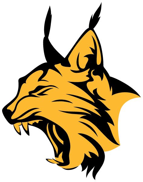 Nenana High School Sideline Store Lynx (NENANA, ALASKA) Spirit Apparel & Accessories Store