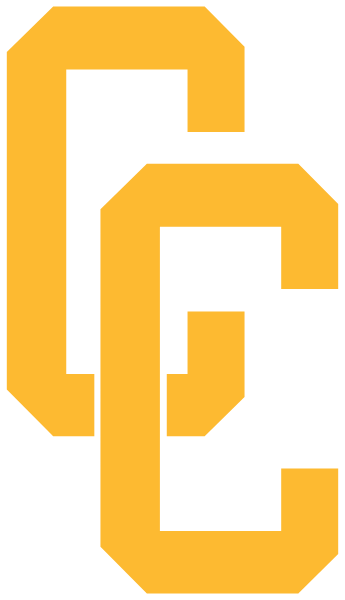 Camas County High School Logo