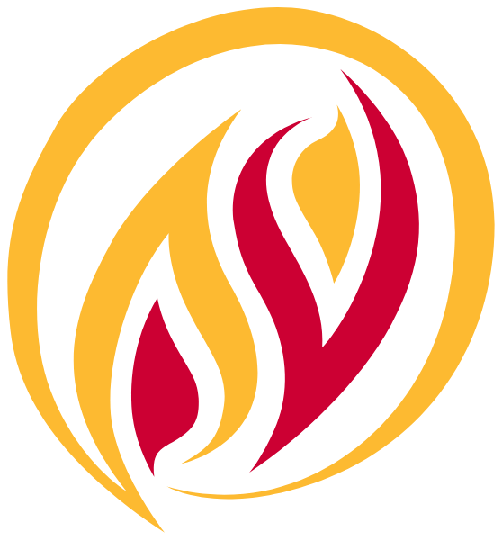 Namaste Charter School Logo