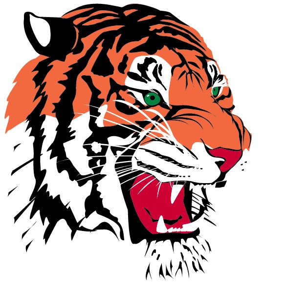 Hutsonville High School Sideline Store Tigers (HUTSONVILLE, Illinois) Spirit Apparel & Accessories Store