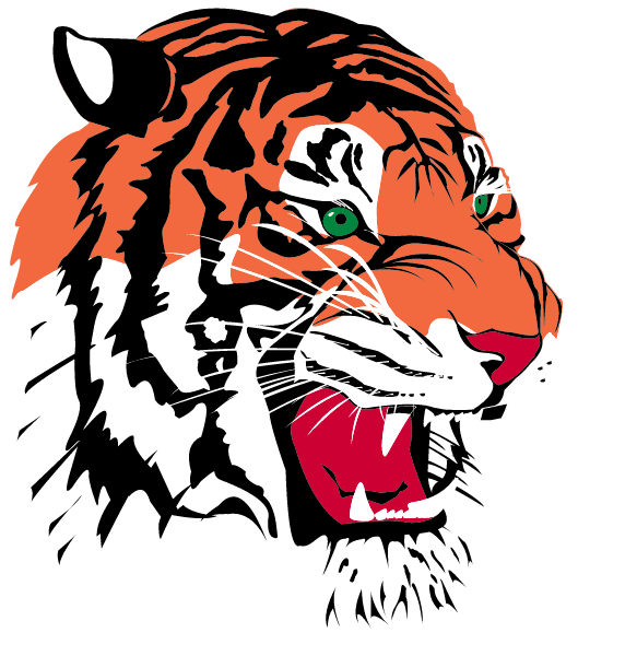 Hutsonville High School Logo