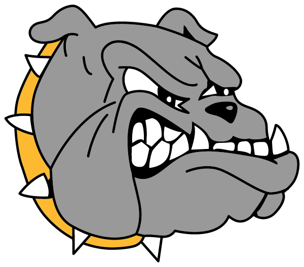 Madison High School Logo