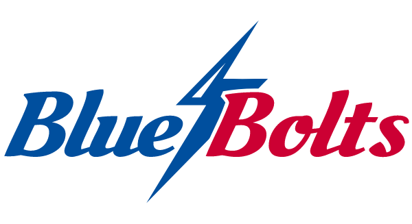 Dollar Bay High School Logo