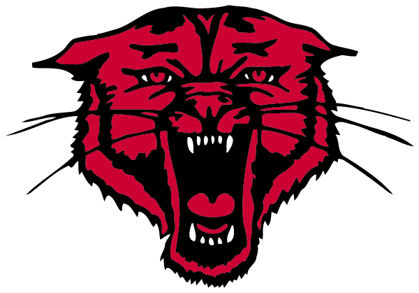 Lesterville  High School Logo