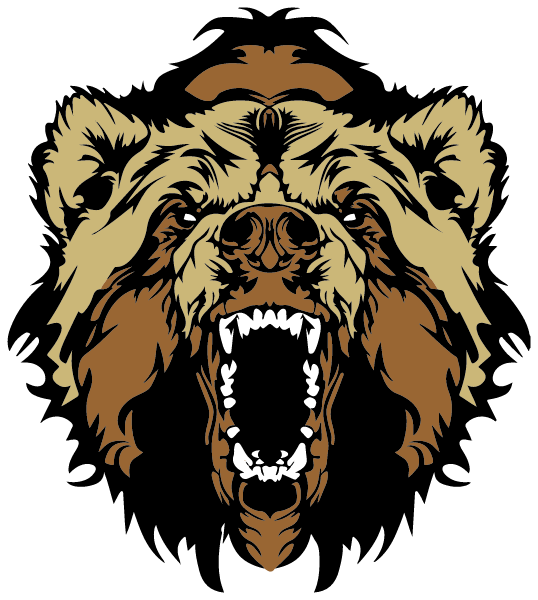 Lima High School Logo