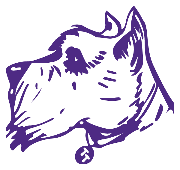 Terry High School Logo