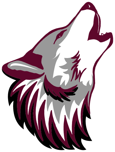 Town Of Webb High School Logo