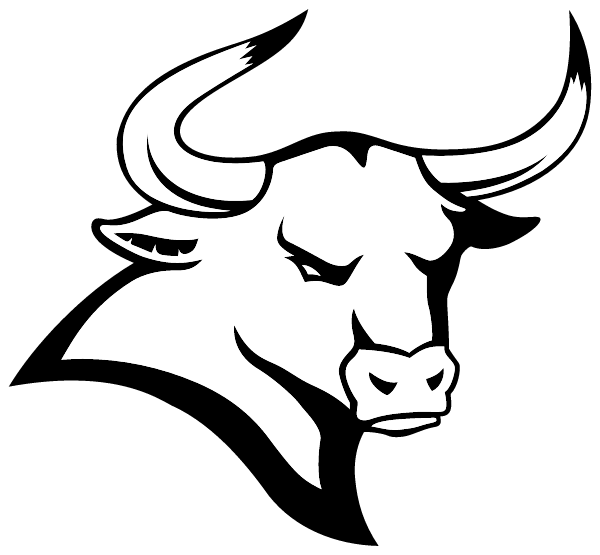 New Explorers High School Logo