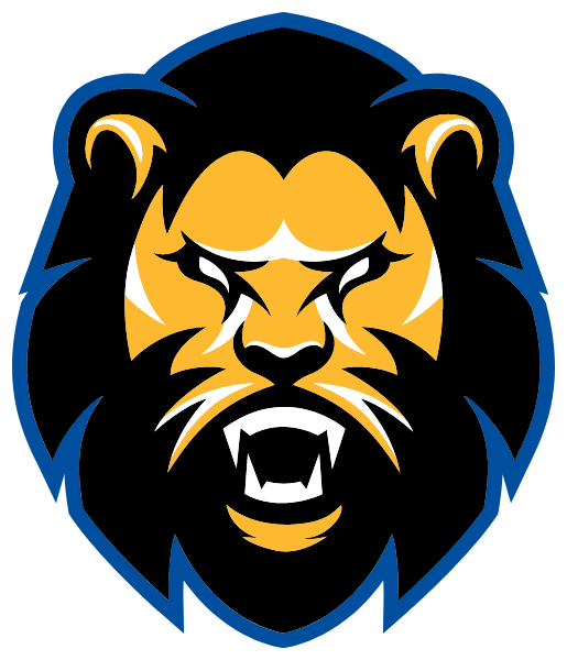 Brooklyn Community Arts & Media High School Logo