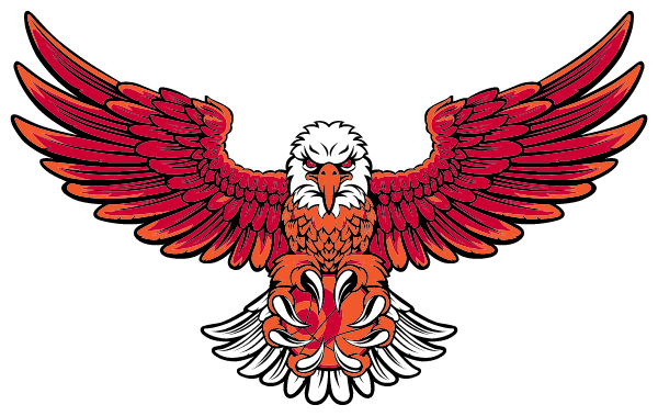 Academy Of Finance Enterprise Logo