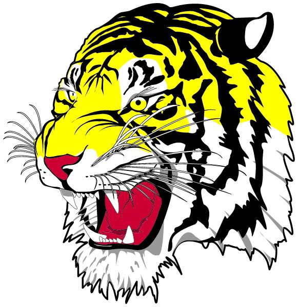 Hazelton-moffit Braddock School Sideline Store Tigers (HAZELTON, NORTH DAKOTA) Spirit Apparel & Accessories Store