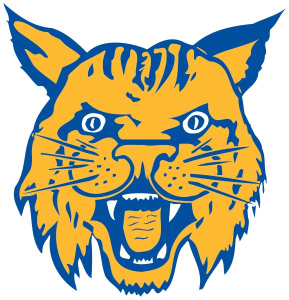 Miller City High School Sideline Store Wildcats (MILLER CITY, OHIO) Spirit Apparel & Accessories Store