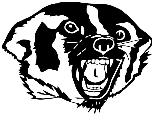 Powder Valley High School Sideline Store Badgers (NORTH POWDER, OREGON) Spirit Apparel & Accessories Store