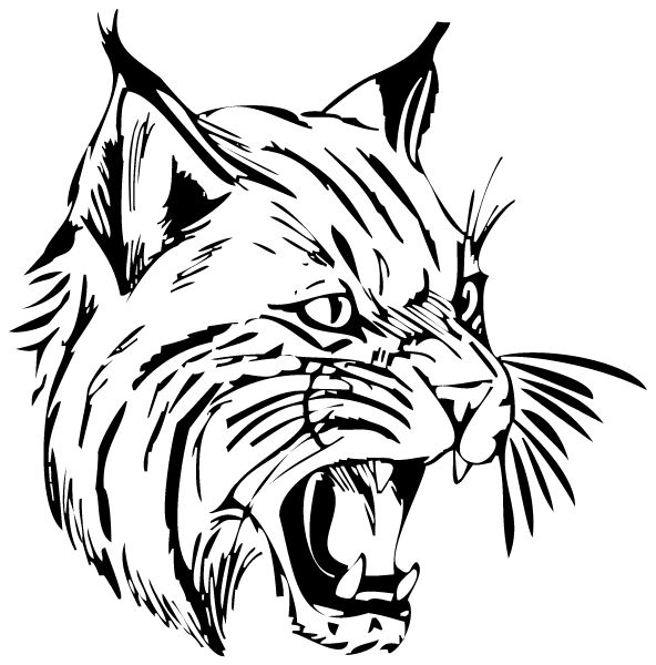 Halifax High School Sideline Store Wildcats (HALIFAX, PENNSYLVANIA) Spirit Apparel & Accessories Store