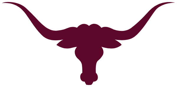 Bronte High School Logo