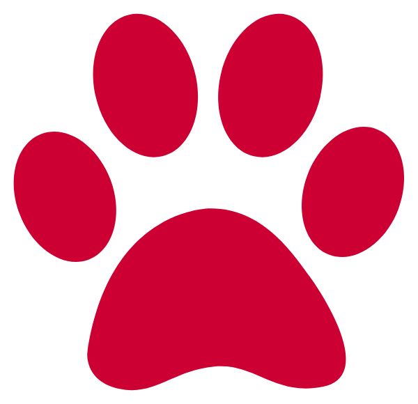 Grand Isle Pta Sideline Store Wildcats (GRAND ISLE, VERMONT) Spirit Apparel & Accessories Store