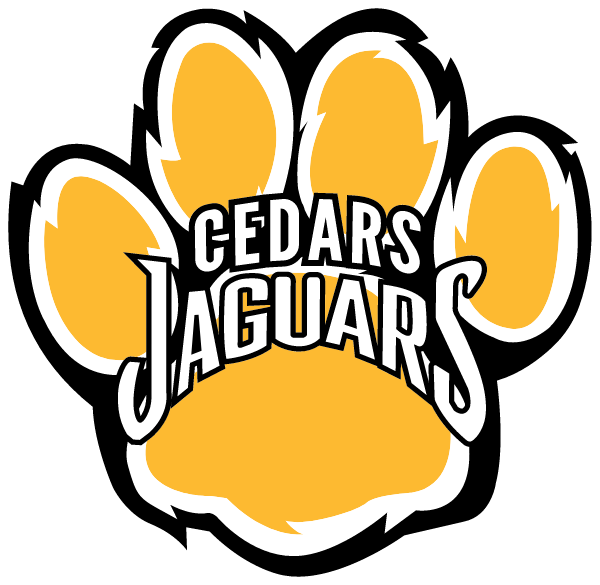 Cedars International Academy Logo