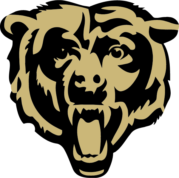 Mahanoy Area High School Logo
