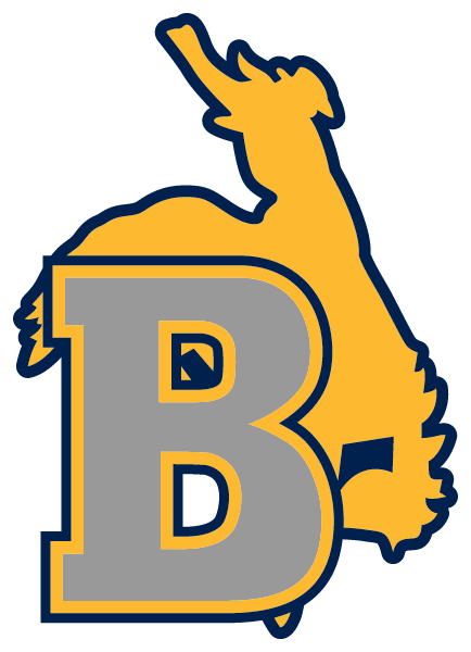 Bryson High School Logo