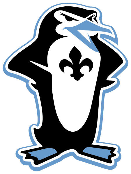 Academy Of Our Lady Logo