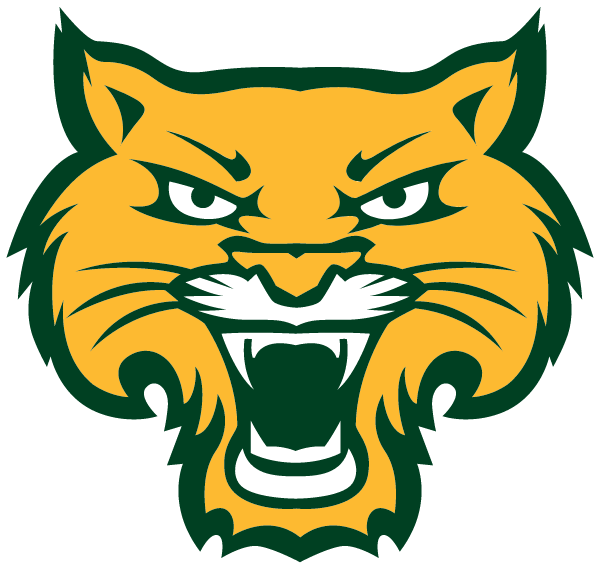 South Royalton High School Logo