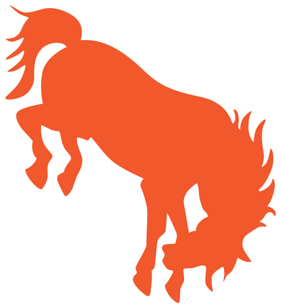 Burns High School Logo