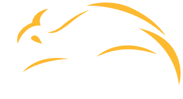 Immacualte Conception School Logo