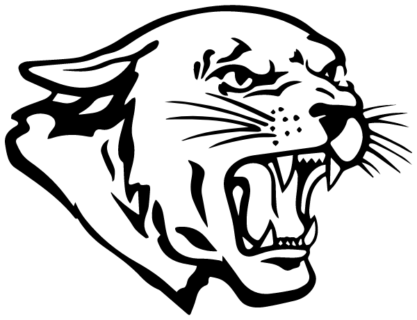 Pringle-morse Cisd Logo