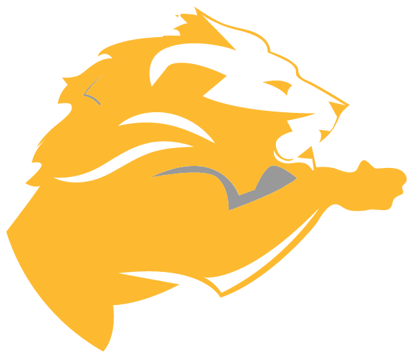 Life Christian Academy Logo