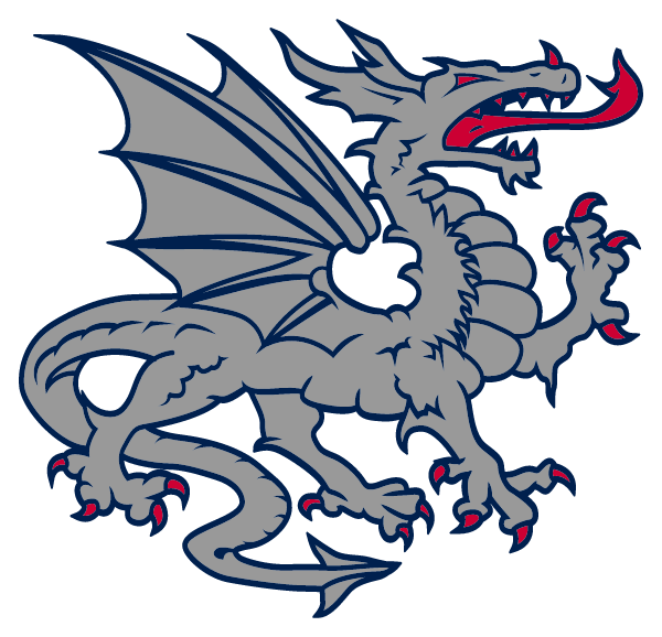 Dunseith High School Logo