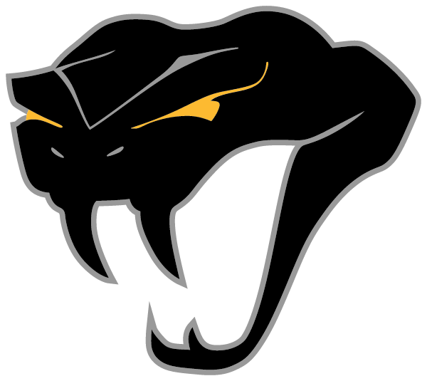 Diamond Ranch Academy Logo