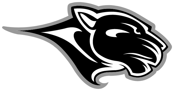 Port Byron High School Logo