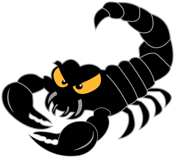 Springbrook Ny, Inc Logo