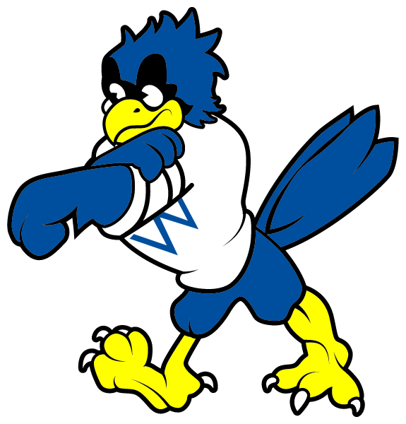 Whitesville Central High School Logo