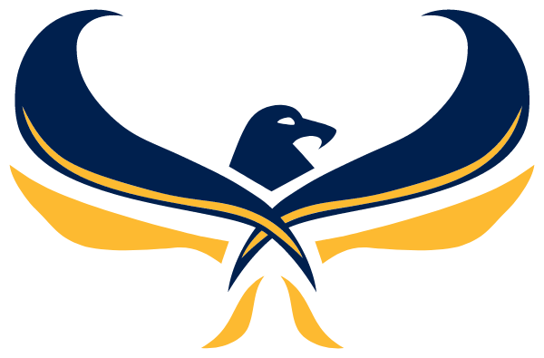 Soar Academy Logo