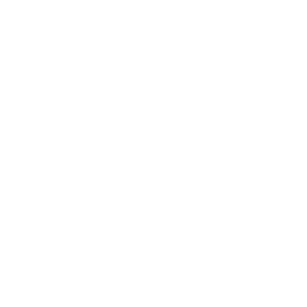 International High School At Laguar Logo