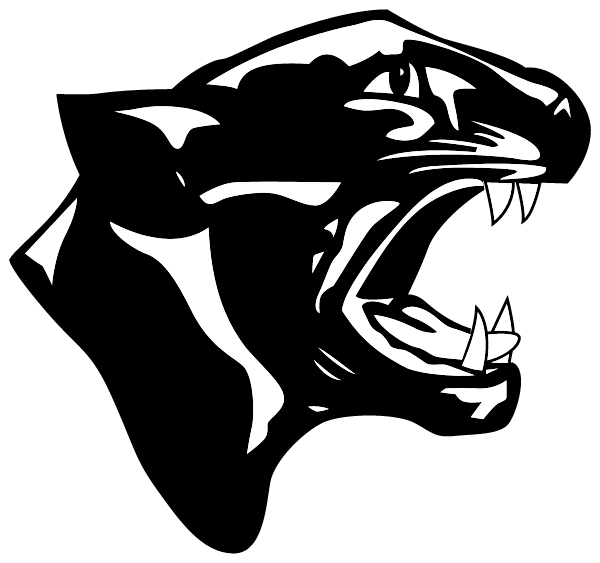 Commodore Perry Area High School Logo