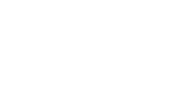 Mccandless Logo