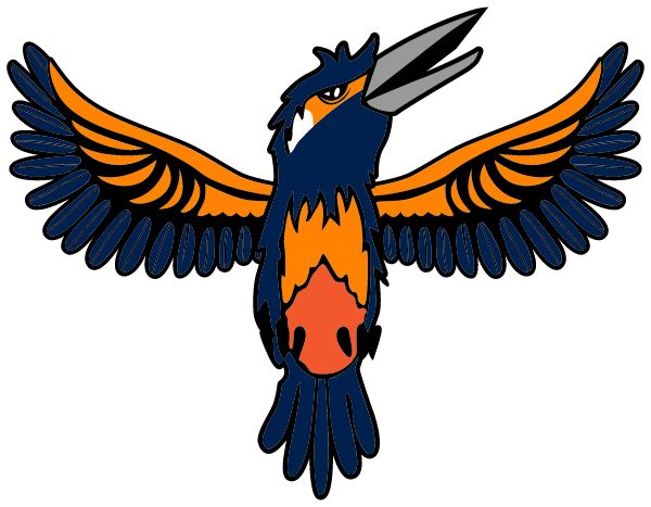 Invest Collegiate Imagine Sideline Store Kingfishers (ASHEVILLE, NORTH CAROLINA) Spirit Apparel & Accessories Store