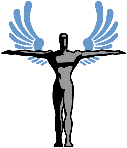 South Texas Academy For Med Prof Logo